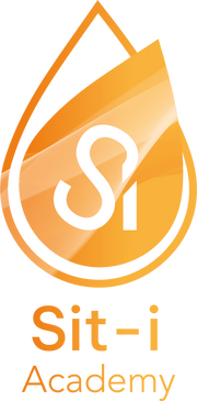 Logo van de Sit-i Academy